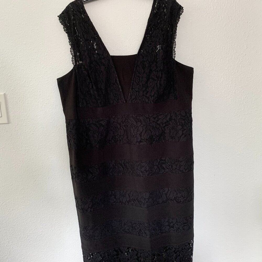 Adrianna Papell Black Lace Sleeve Dress